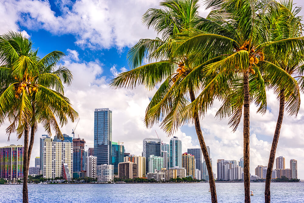 Miami Beach View